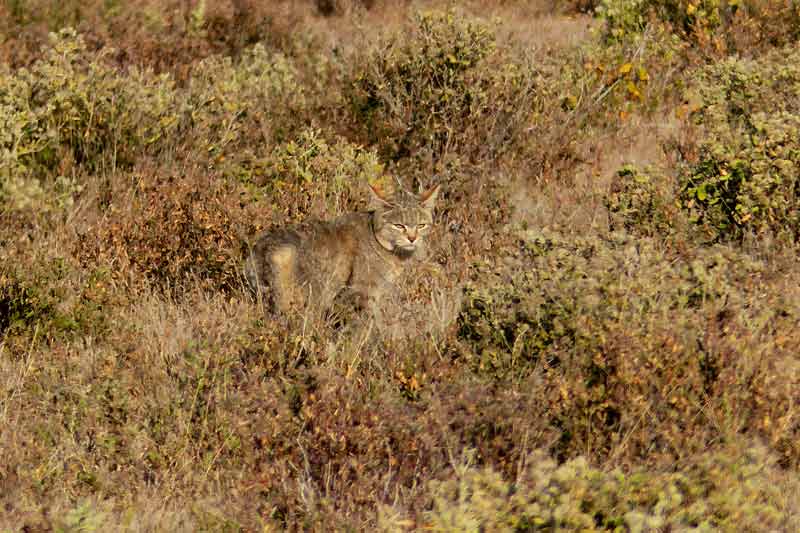 Namibia